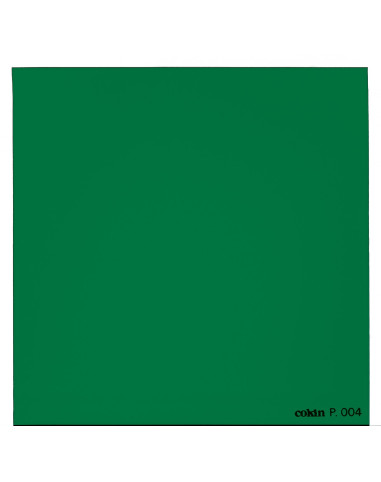 Filtre Vert  - Taille M (série P)