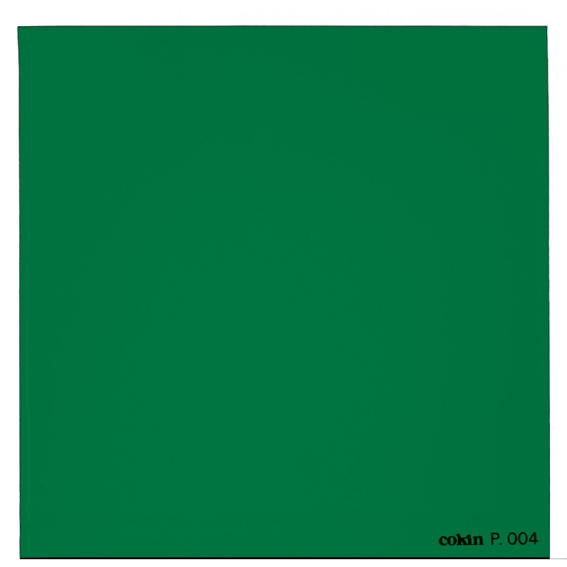 Filtre Vert  - Taille M (série P)