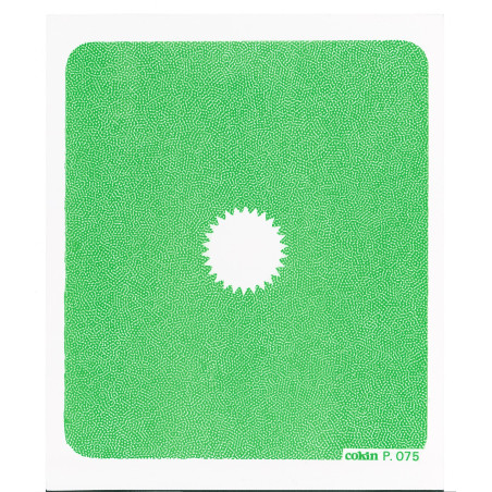 Filtre Center spot WA Vert   - Taille M (série P)