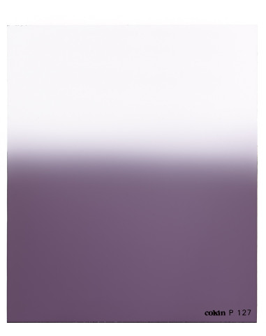 Filtre Dégradé Mauve M2  - Taille M (série P)
