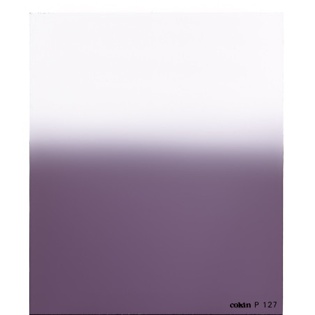 Filtre Dégradé Mauve M2  - Taille M (série P)