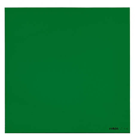 Filtre Vert L (Z-PRO Series)