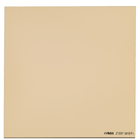 Filtre Chaud (81 EF) L (Z-PRO Series)