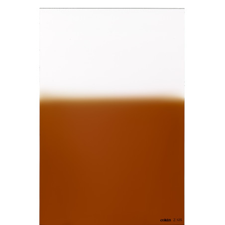Filtre Dégradé Tabac  T2 L (Z-PRO Series)