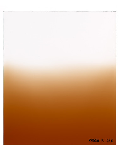 Filtre Dégradé Tabac T2-soft  - Taille M (série P)