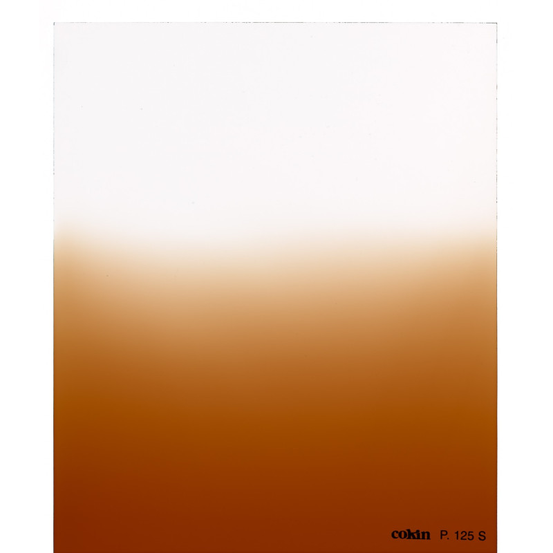 Filtre Dégradé Tabac T2-soft  - Taille M (série P)