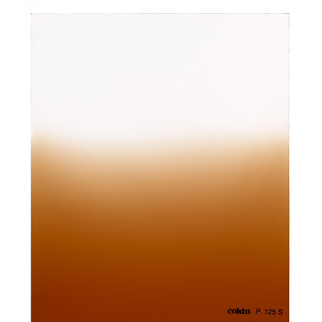 Filtre Dégradé Tabac T2-soft  - Taille M (série P)