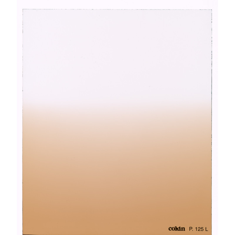 Filtre Dégradé Tabac T2-Light    - Taille M (série P)