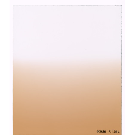 Filtre Dégradé Tabac T2-Light    - Taille M (série P)