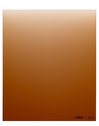 Filtre Dégradé Tabac T2-Full   - Taille M (série P)