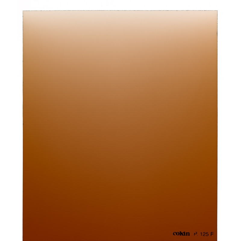 Filtre Dégradé Tabac T2-Full   - Taille M (série P)