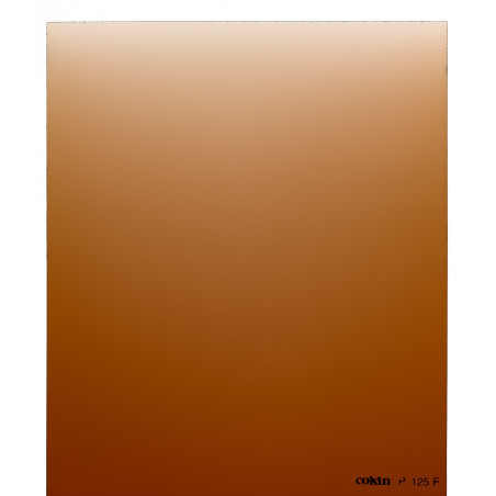 Filtre Dégradé Tabac T2-Full   - Taille M (série P)