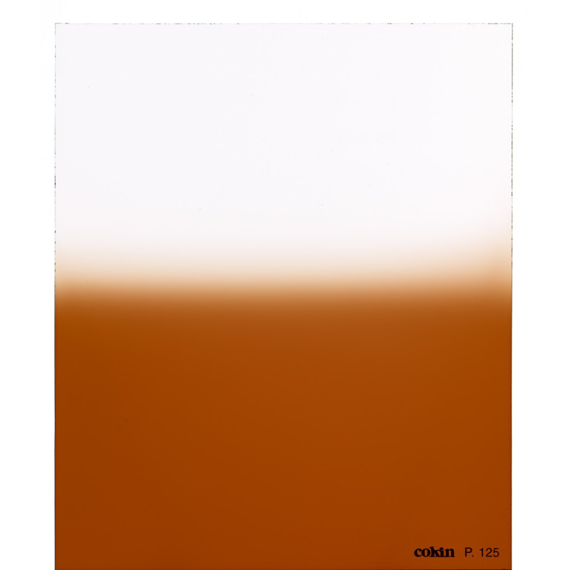 Filtre Dégradé Tabac  T2  - Taille M (série P)