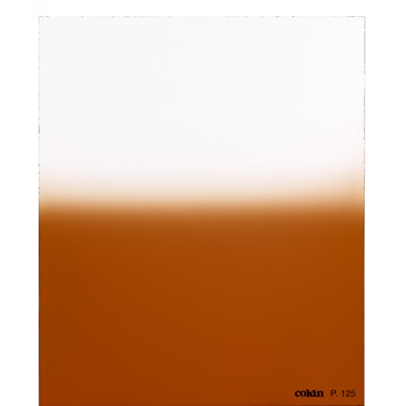 Filtre Dégradé Tabac  T2  - Taille M (série P)