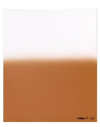 Filtre Dégradé Tabac  T1  - Taille M (série P)