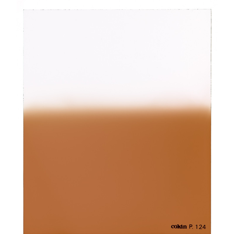 Filtre Dégradé Tabac  T1  - Taille M (série P)